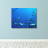 Reef Shark Wrapped Canvas Leinwanddruck (Insitu (Holzboden))