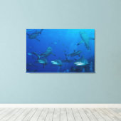 Reef Shark Wrapped Canvas Leinwanddruck (Insitu (Holzboden))