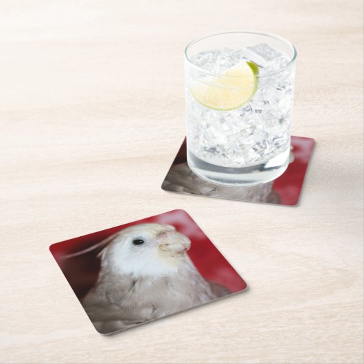 Reeples Rechteckiger Pappuntersetzer (Vor Ort)