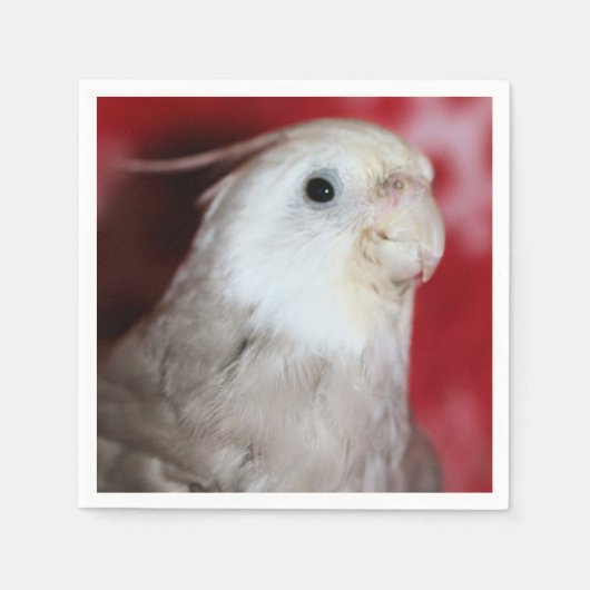 Reeples Serviette (Vorderseite)