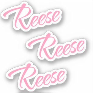 Reese Decorname in Pink x3 Aufkleber