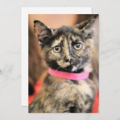 Reese Feiertagskarte (Vorne/Hinten)