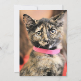 Reese Feiertagskarte