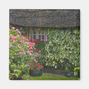 Reetgedecktes Cottage, Adare, County Limerick, Magnet