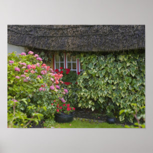 Reetgedecktes Cottage, Adare, County Limerick, Poster