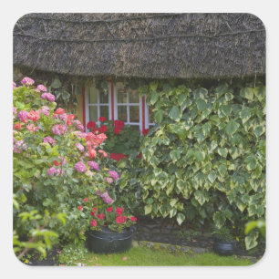 Reetgedecktes Cottage, Adare, County Limerick, Quadratischer Aufkleber
