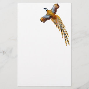 Reeves-Fasan-Briefpapier Briefpapier