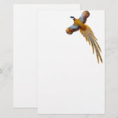 Reeves-Fasan-Briefpapier Briefpapier (Vorne/Hinten)