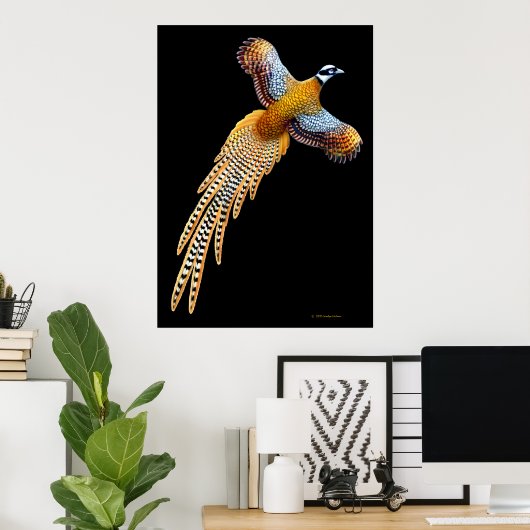 Reeves Pheasant Flying Print Poster (Heimbüro)
