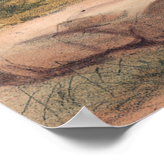 Reeves Pheasant von Joseph Wolf Poster (Ecke)