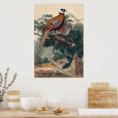 Reeves Pheasant von Joseph Wolf Poster (Küche)