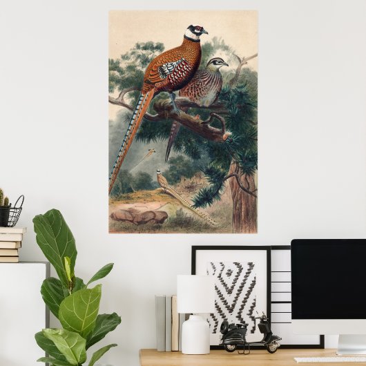 Reeves Pheasant von Joseph Wolf Poster (Heimbüro)
