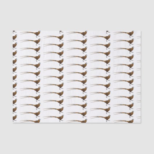 Reeves's faszinierende Cartoon-Abbildung Seidenpapier (Vorderseite)