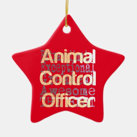 Referent für Kontrolle Keramik Ornament (Vorne)