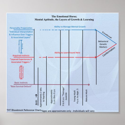 Referenzdiagramm für THT-Blutbestand Herdendynamik Poster (Vorne)