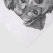 Refined Monochrome Large Mixed Breed Canine Seidenpapier (Ausschnitt)