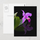 Reflection Beauty Orchid Postkarte (Vorne/Hinten)