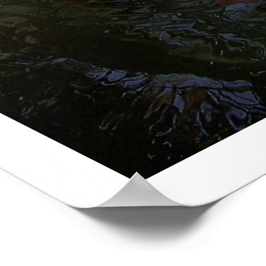 Reflection Flamingo Poster (Ecke)