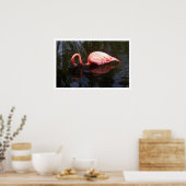 Reflection Flamingo Poster (Küche)