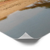 Reflection Pine Trees Poster (Ecke)