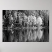 Reflection Poster (Vorne)