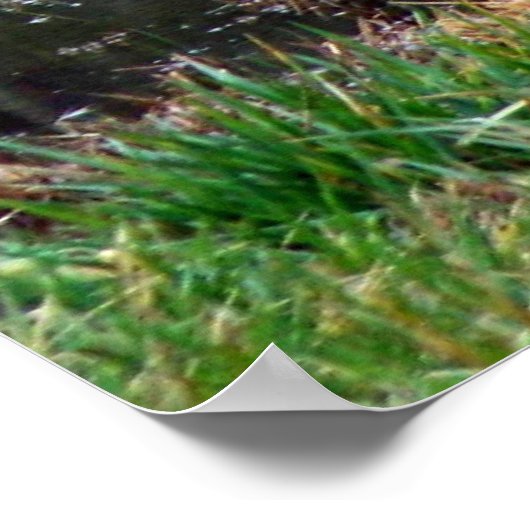 Reflection Poster (Ecke)