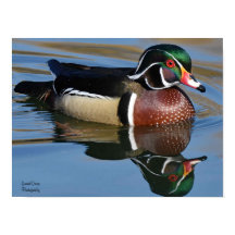 Reflection Throw Kissen Mouse Pad P