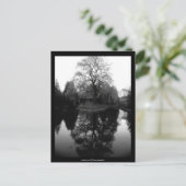 Reflection Willow black&white - Postcard Postkarte (Stehend Vorderseite)