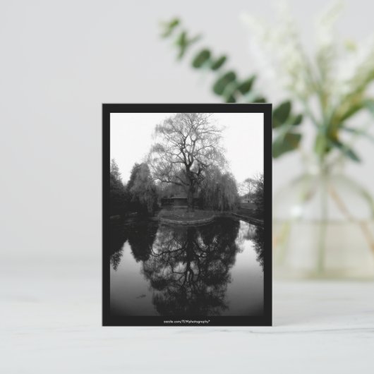 Reflection Willow black&white - Postcard Postkarte (Stehend Vorderseite)