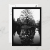 Reflection Willow black&white - Postcard Postkarte (Vorne/Hinten)