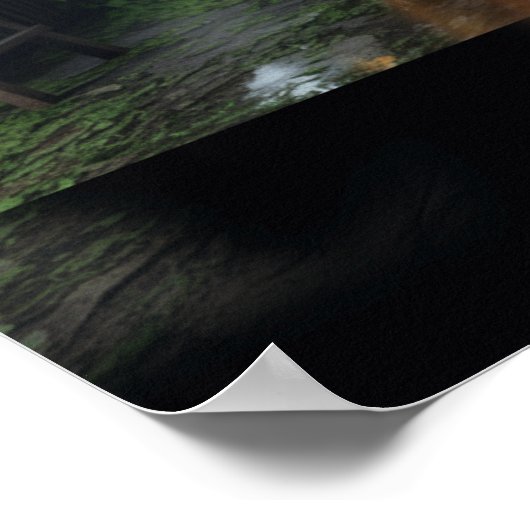 "Reflection Windows" Art Poster Print Katty Pulsar (Ecke)