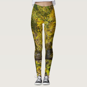 Reflections Beginnende Malerische Leggings