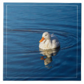 Reflections Fliese (Vorderseite)