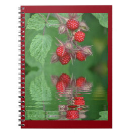 Reflections Notizblock