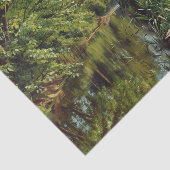 Reflections of Spring by Peder Mork Monsted Seidenpapier (Ausschnitt)