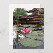 Reflections Pink Water Lilies Fotografie Postkarte (Vorne/Hinten)