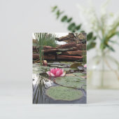 Reflections Pink Water Lilies Fotografie Postkarte (Stehend Vorderseite)