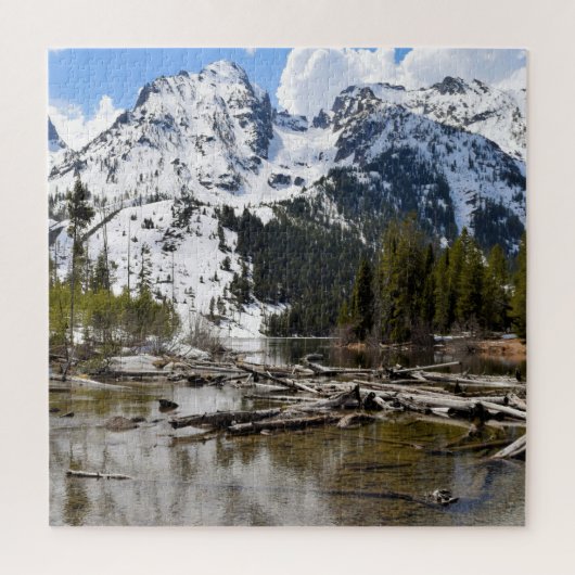 Reflections zu Teton Mountain Stream - 20x20 - 676 Puzzle (Vertikal)