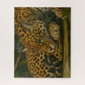 Reflective Jaguar - Serene Wildlife Art Print Puzzle (Vertikal)