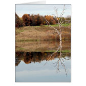 reflektieren (Vorne)