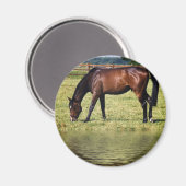 Reflektierende Bucht Magnet (Vorderseite/Rückseite)