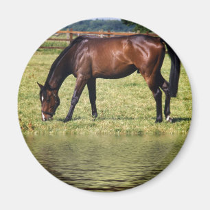 Reflektierende Bucht Magnet