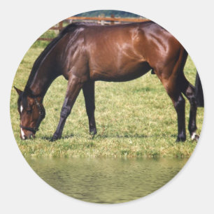 Reflektierende Bucht Runder Aufkleber