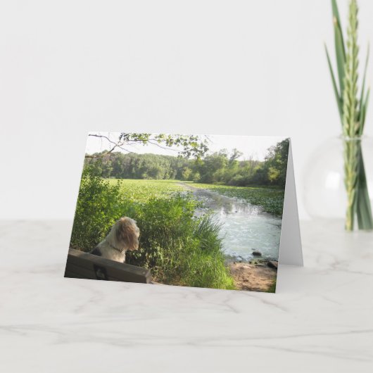 Reflektierende Karte Emmas (Vorderseite)