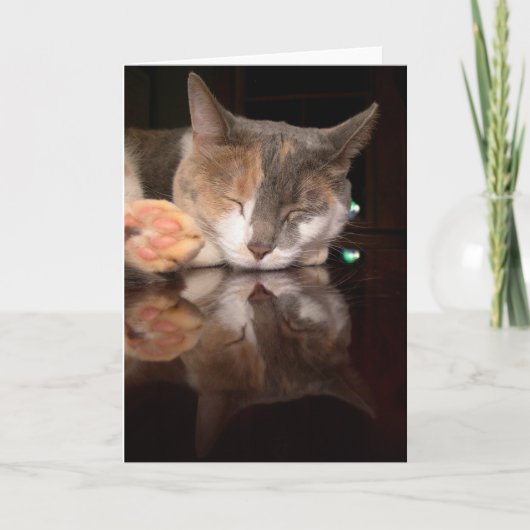Reflektierende Miezekatze Karte (Vorderseite)