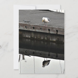 reflektierende Möwe Einladung