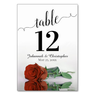 Reflektierende Rost-Orange-Rose Elegante Hochzeit Tischnummer