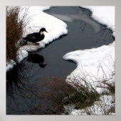 Reflektierendes Poster (Vorne)