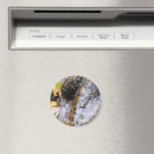 Reflektierendes Stream-Magnet Magnet (In Situ (Geschirrspüler))