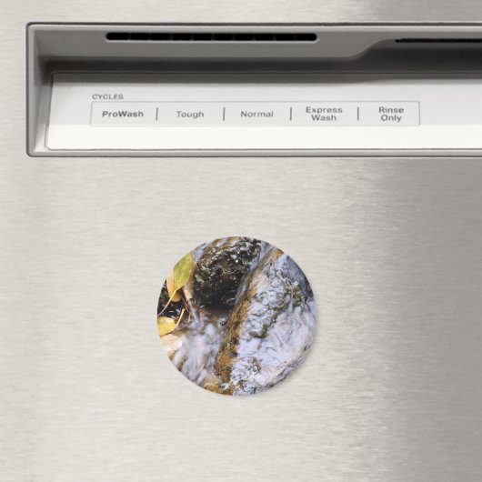 Reflektierendes Stream-Magnet Magnet (In Situ (Geschirrspüler))